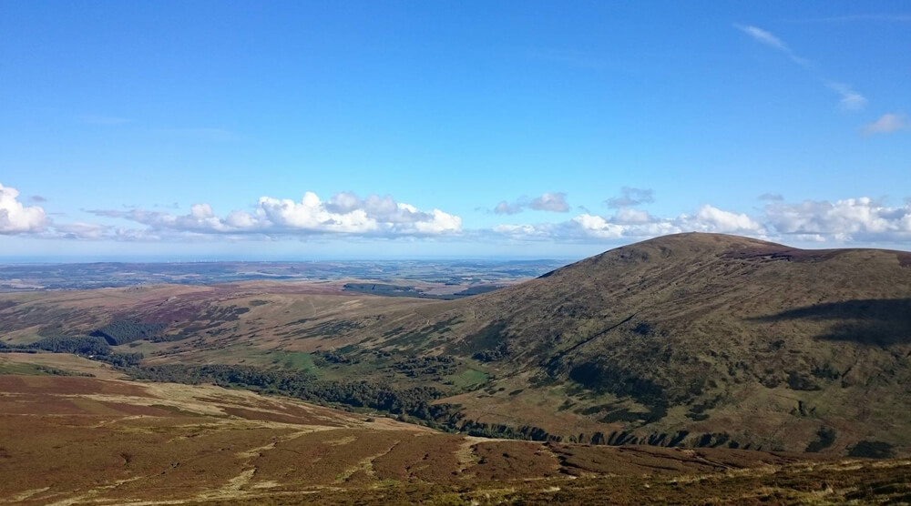 Cheviot looking towards heagehope